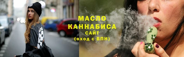 индика Надым